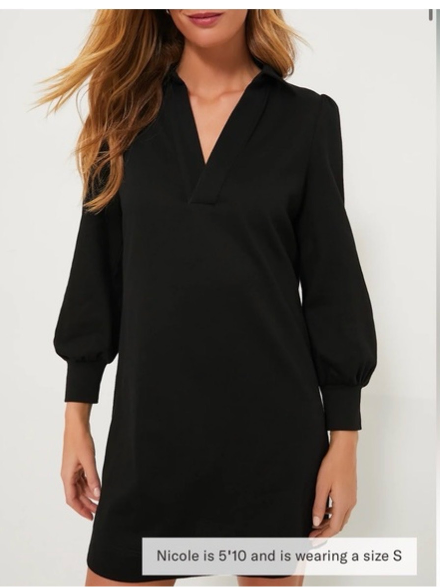 Pomander Place Tuckernuck Black V-Neck Long Sleeve Polo Dress L